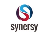 Synersy Organization